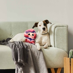[RCTFT] Rufus & Coco Tuff Fluff Snuggle Toy
